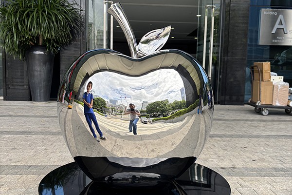 Custom Stainless Steel Apple Sculpture – Modern Mirror Polished Metal Fruit Art for Outdoor & Indoor Decor